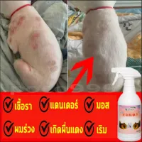 Kaililai สเปรย์รักษาขี้เรื้อน 500ml ยาขี้เรื้อนหมา ยาแก้เรื้อนหมา ยารักษาขี้เรื้อนหมา ผื่นแดง อาการคัน ผิวหนังอักเสบ ตุ่มคัน ขี้เรื้อนเรื้อรัง เชื้อราแมว ยาทาขี้เรื้อน ยาแก้เรื้อนแมว สเปรย์รักษาขี้เรื้อนหมา สเปรย์รักษาขี้เรื้อนหมาแมว