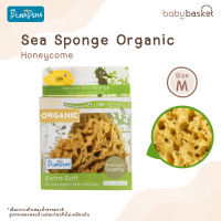 ฟองน้ำอาบน้ำแบบธรรมชาติสำหรับเด็ก Punapena Sea Sponge Honeycomb Organic จาก Punapena