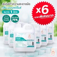 ☉ซื้อ x6 ราคาคุ้มมาก แอลกอฮอล์ สเปรย์ 75 ขนาด 1000 ml  กลิ่น เปปเปอร์ มินต์  Food Grade❈