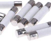 【YF】 10 Pcs Microwave Ceramic Fuse Electric 20A 250V Home Supplies 6x30mm Wholesale