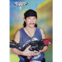 โปสเตอร์ แอ๊ด คาราบาว ไก่ ชน Carabao วง ดนตรี ไทย เพื่อชีวิต รูป ภาพ ติดผนัง สวยๆ poster 34.5x23.5นิ้ว(88x60ซม.ประมาณ)