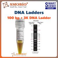 DM2300 ExcelBand DNA Ladder 100 bp + 3K 500 uL DNA Marker PCR gel electrophoresis SMOBIO