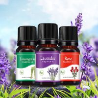 Aromatherapy Essential Oils Water Soluble Oil Diffuser Aromatherapy Rose LavenderLemon Peppermint Lemongrass sandalwood