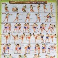 โปสเตอร์แสดงภาพ แม่ไม้มวยไทย THAI BOXING ขนาดกว้าง22นิ้ว ความสูง32นิ้ว