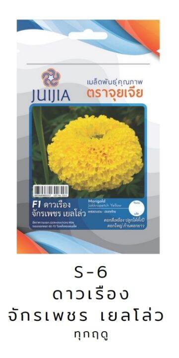 เมล็ดพันธ์ุผักสวนครัว-ชุด14-หมดอายุปี-2567-ถุงซิบล๊อค-เมล็ดพันธุ์-เมล็ดผัก-เมล็ดพันธุ์ผัก-เมล็ดดอกไม้-เมล็ดพันธุ์ดอกไม้-เมล็ดผักสวนครั