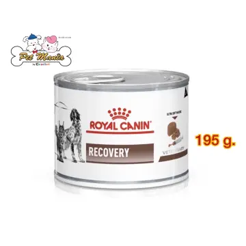 ROYAL CANIN® Recovery Veterinary Health Dog & Cat Mousse & Liquid
