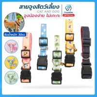 สายจูงสุนัข  Harness Leash สายจูงหมา เชือกจูงสุนัข สายจูง ปลอกคอสัตว์เลี้ยง ฟรีสายจูงยาว 120 ซม