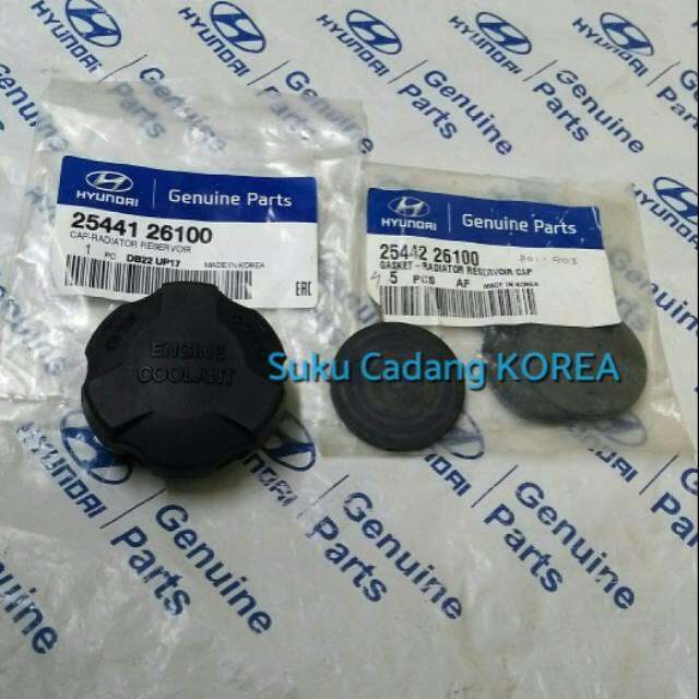 Reservoir Cap Radiator Spare Tube Cap Hyundai Getz Matrix i10 i20 H1