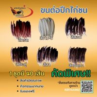 ปีกต่อไก่ชน ปีกไก่ชน 1ชุดมี 40เส้น (ขาว) (สา) (ดู่) (กรด) (หม่น) (ดอก) คัดพิเศษ แข็งแรง คัดทุกเส้น