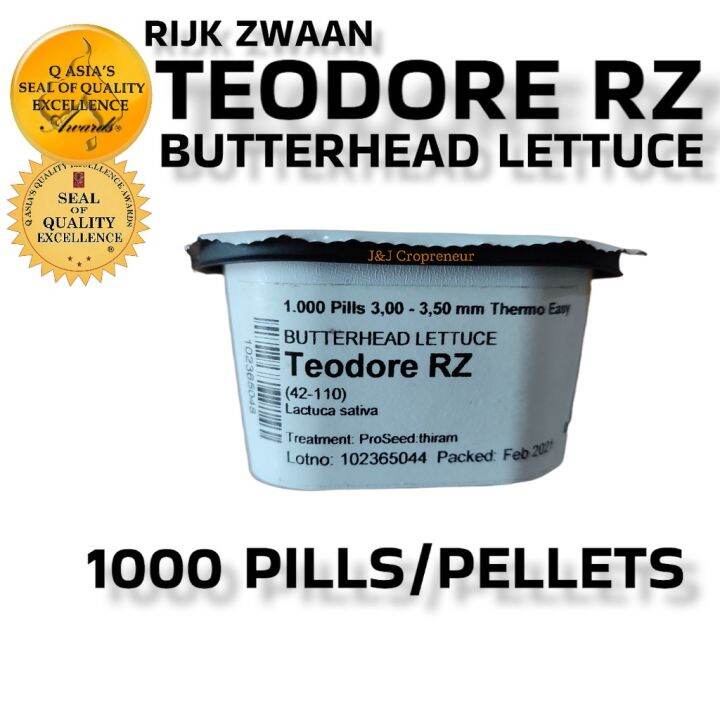 TEODORE RZ BUTTERHEAD LETTUCE (1000 PILLS) BY RIJK ZWAAN Lazada PH