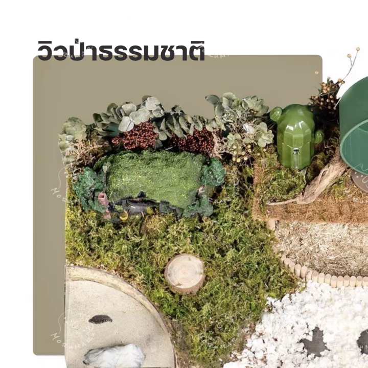 tafit-รองกรงธรรมชาติ-natural-forest-moss-รองกรงสำหรับแฮมส์เตอร์ทุกสายพันธุ์-อุปกรณ์สำหรับตกแต่งกรง-ขนาด5l