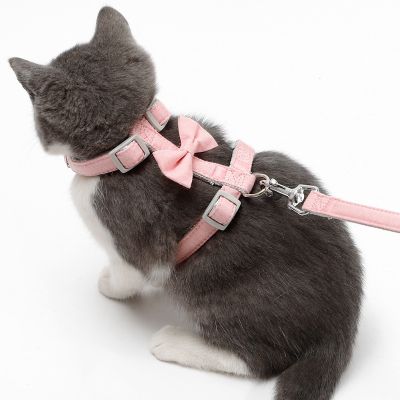（PAPI PET）สายรัดแมวปรับได้ Breakaway สายรัดแมวสายจูงผ้าฝ้ายพร้อมสายจูงสำหรับลูกแมวลูกสุนัขสุนัขขนาดเล็กเดิน