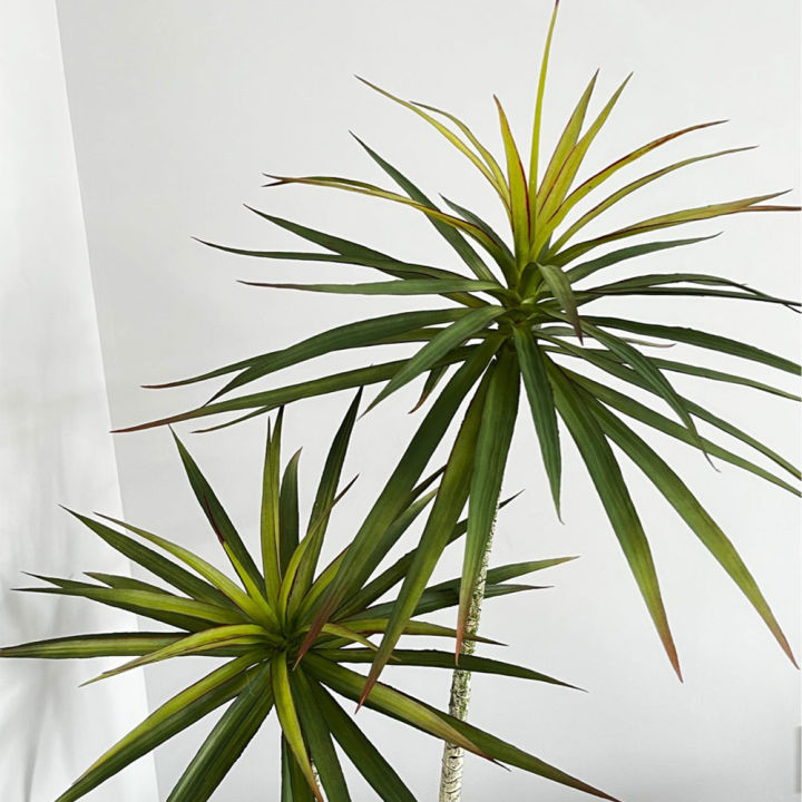 ต้นดราแคน่าปลอม-dracaena-ต้นจันผา-ต้นจันแดงทะเล-ต้นไม้ปลอมสไตล์-nordic-ต้นไม้ปลอมแต่งบ้าน-พร๊อพถ่ายรูป