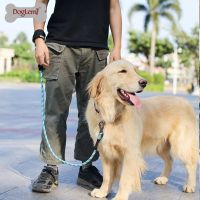 [COD] nylon reflective leash medium and large dogs explosion-proof punching hands-free walking dog pet supplies