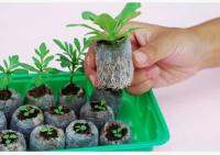 25MM/30MM Jify Peat PlantingCuttingGarden SuppliesSeed StarterVegetable Pellete.New PlanterSpring Potted Bonsai