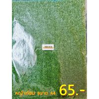 ??โปรสุดเดือด หญ้าเทียม ขนาด A4 ขนาด 25x34 ซม. ราคาถูก?? หญ้า หญ้าเทียม หญ้าเทียมปูพื้น หญ้ารูซี หญ้าแต่งสวน แต่งพื้น cafe แต่งร้าน สวย ถ่ายรุป