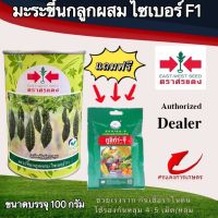 เมล็ดพันธุ์ มะระขี้นกไซเบอร์  100g แถมกูซิก้าจีซองเล็ก