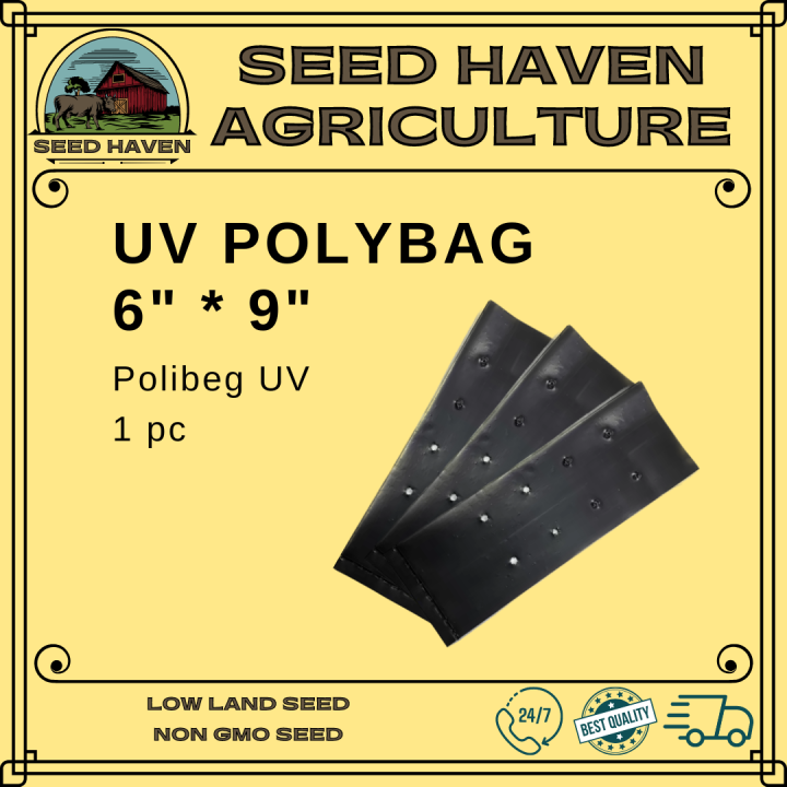 6" x 9" UV Polybag / Plastic Nursery Grow Bag for Seed Germinating