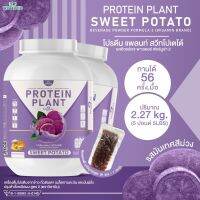 PROTEIN PLANT โปรตีนแพลนท์ สูตร 2 ( รสมันเทศ สีม่วง ) โปรตีนจากพืช 5 ชนิด ออเเกรนิค ปริมาณ 2.27 kg./กระปุก (ขนาด 5 ปอนด์ 5LBS ) เเถมฟรีไข่มุกบุก 56 ซอง