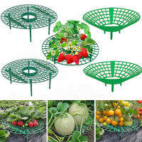 5pcs~1pcs Strawberry Supports Keeping Plant Fruit Stand Vegetable Growing Rack Garden Tools for Protecting Vines Avoid Ground