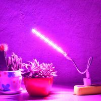 10W Dc 5V Usb Led Grow Light เต็มสเปกตรัมสำหรับโคมไฟ Phyto ของพืช