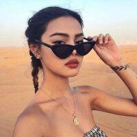 Vintage Triangle Cat Eye Women Sunglasses Personality PC Frame Resin Lens Travel Eyewear Fishing Glasses Riding Glasses Goggles Rotary Tool Parts Acce