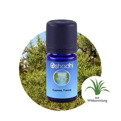 Oshadhi Cypress, France Essential Oil น้ำมันหอมระเหย (10 ml)