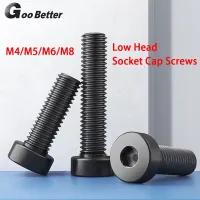 M4 M5 M6 M8 Black Low Head Socket Cap Screws Allen Bolt-High Tension 12.9