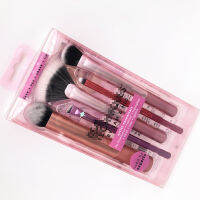 Professional Makeup Brush Set for Beauty Girl with PET Box