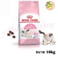 ลดล้างสต็อค ส่งฟรี Royal Canin Babycat สำหรับลูกแมว 1-4เดือน, แม่แมวให้นมลูก, แม่แมวตั้งท้อง ขนาด 10kg