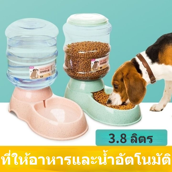dimama-เครื่องให้น้ำให้อาหารสุนัขอัต-ที่ให้น้ำสัตว์เลี้ยง-ให้อาหารสัตว์เลี้ยง-แยกขาย-ราคาต่-ที่ให้น้ำ-ที่ให้อาหารอัตโนมัติ