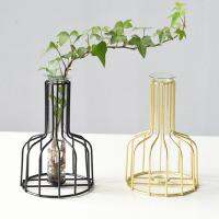 YGT Nordic Iron Vase Golden Hydroponic Decoration Table Decoration