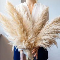 ing Decorations Big Pampas Grass Natural Dried Flowers Large Artificial Plant Pampas Secas Grandes Christmas Decoration