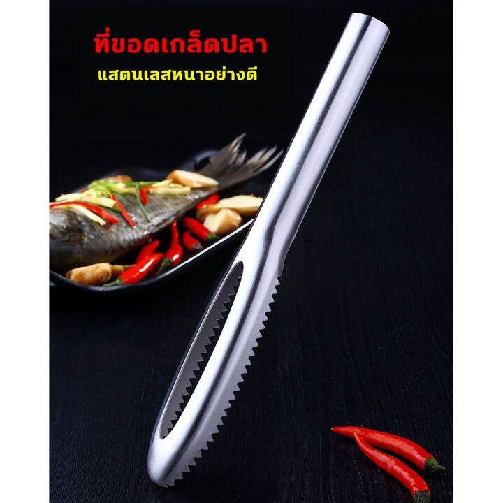 ที่ขอดเกล็ดปลา-ที่ขูดเกล็ดปลา-ขนาดใหญ่-แสตนเลสหนา-อย่างดี-ไม่ขึ้นสนิม