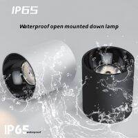 IP65 10W-100W Led open waterproof downlight outdoor balcony terrace hotel ceiling ceiling bathroom anti-fog spotlight toilet