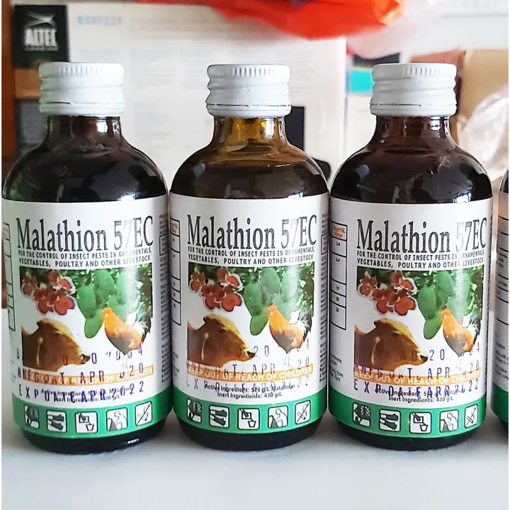 Malathion 57EC for Pest Control Malatayon Malathione 60ml | Lazada PH