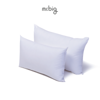 mr.big หมอนหนุนสำหรับเด็ก DreamBIG Baby Pillow