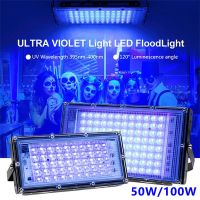 50W 100W LED Flood Light Spotlight UV Fluorescent Stage Lamp EU Plug For Bar Dance NewYear Party Blacklight Indoor Flood Light Rechargeable Flashlight