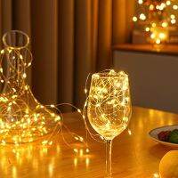 1 M 10 Lights Usb Models Led Button Copper Wire String Lights Christmas Day Decoration Warm White Small String Lights