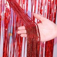 Ready Stock Foil Fringe Curtains for Party Photo Backdrop and Birthday Decorations