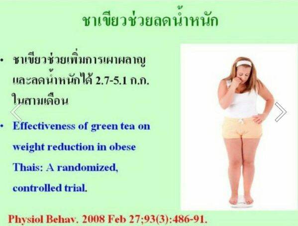 กิฟฟารีน-ชาเขียวลดไขมัน-ชาเขียวลดหุ่น-ชาเขียวสุขภาพ-ชาเขียวสกัด-egcg-ชนิดแคปซูล