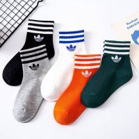 【Ready stock】CLOVER Clover Leaf striped socks for children Boy Gloves  Socks Adidas Socks Baby Socks