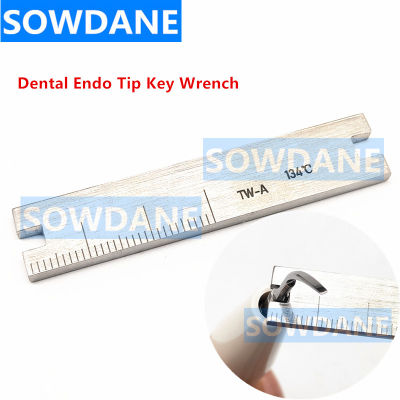 1Pc Double Ends ทันตกรรม Ultrasonic Scaler Endo Tip Key ประแจ Scale ไม้บรรทัด Fit Emswoodpekersaec สแตนเลส