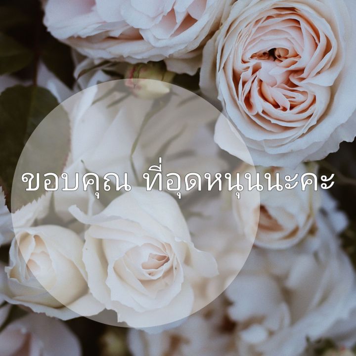 เก้าอี้สตูล-เก้าอี้พับ-กล่องเก็บของ-นั่งได้-พับได้