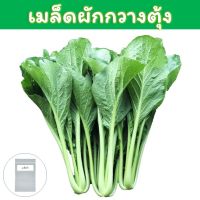 เมล็ดพันธุ์ผักกวางตุ้ง 1,000+ เมล็ด (Choy Sum Seeds) / ผักกาดกวางตุ้ง / กวางตุ้งต้น