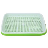 33x26x5cm Seed Germination Trays For Crops Wheatgrass Mung Greens Seedling Germination Tray Sprout Plate Nursery Pots