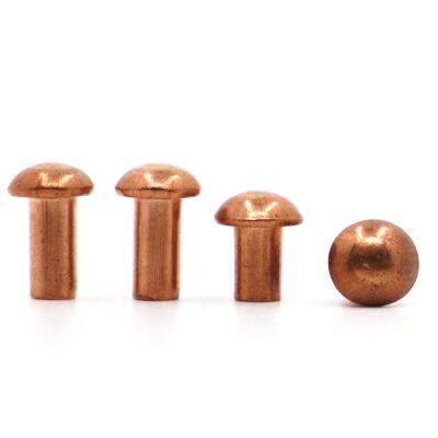 【CC】 1-50pcs M1.5 M2.0 M2.5 M4 M5 Rivet Pan Rivets Half Round Cap GB867