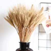 Real Wheat Ear Flower Natural Dried Flowers Wheat Ears Bouquet For Wedding Party Home Decor DIY Craft