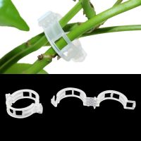 Greenhouse Plant Fixing Clips Garden Plants Flowers Tied Bundle Branch Clip Clamping Tools Garden Supplies Plant Clips 50 Pcs