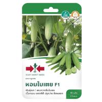 ราคาพิเศษ!! เมล็ดพันธุ์ แตงกวาลูกผสม หอมใบเตย F1 HYBRID CUCUMBER SEED EAST-WEST SEED HOM BI TEOY F1